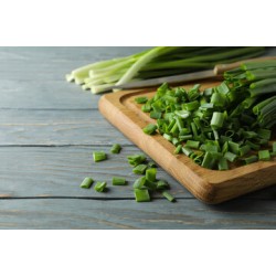 Green Onion - 1Doz (12CT)/Pack