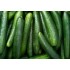 Cucumber / Case